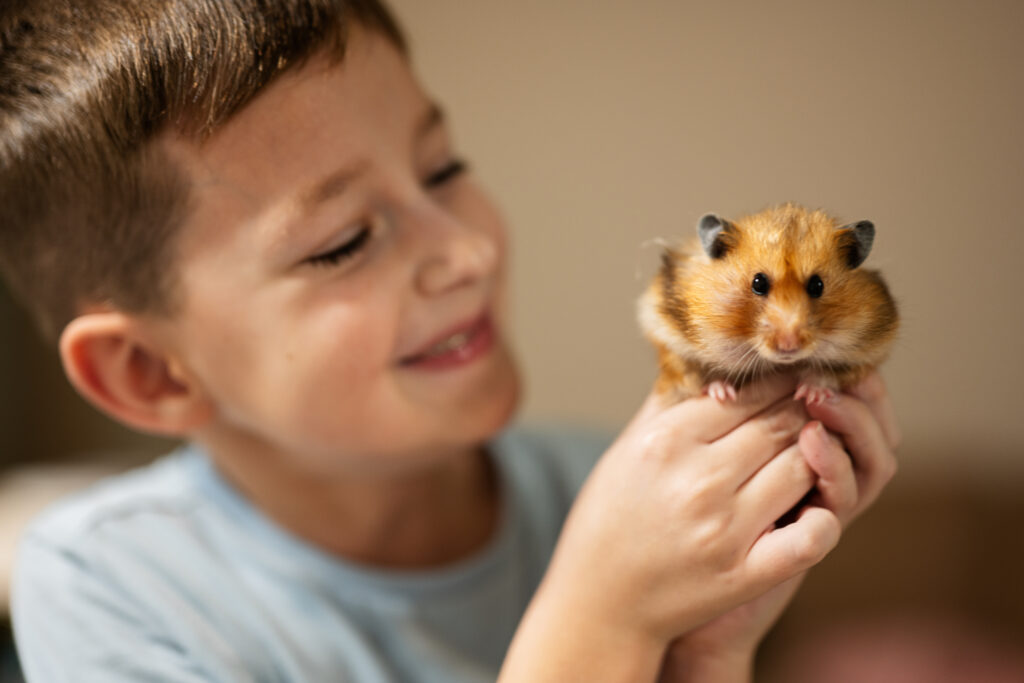 Best Pets for Kids