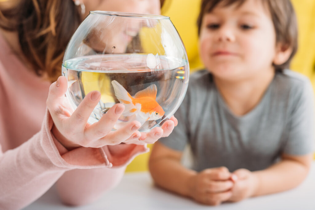 Best Pets for Kids